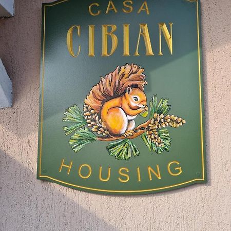 Casa Cibian Apartment บราชอฟ ภายนอก รูปภาพ