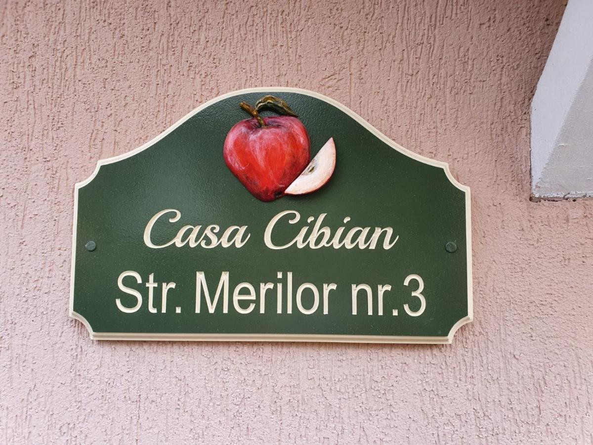 Casa Cibian Apartment บราชอฟ ภายนอก รูปภาพ