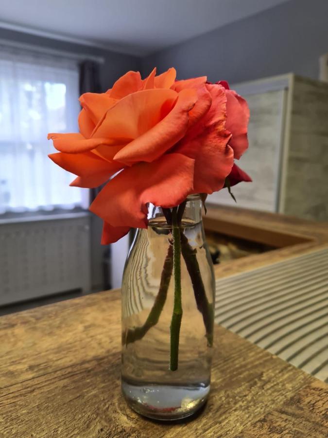 Casa Cibian Apartment บราชอฟ ภายนอก รูปภาพ